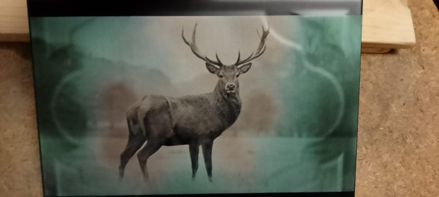 cerf