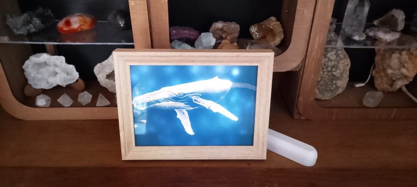 baleine