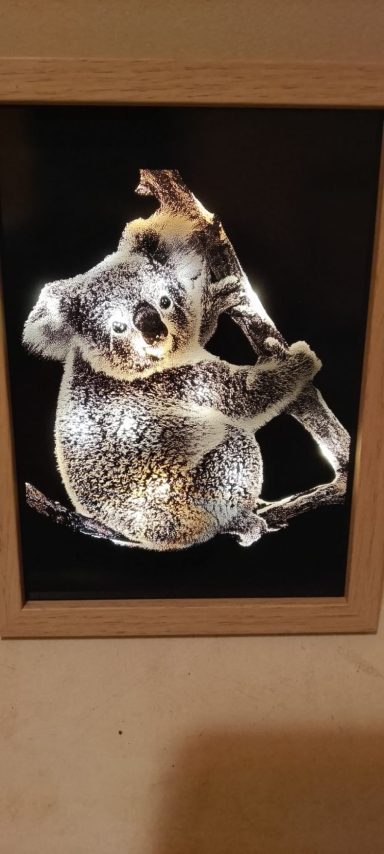 kaola